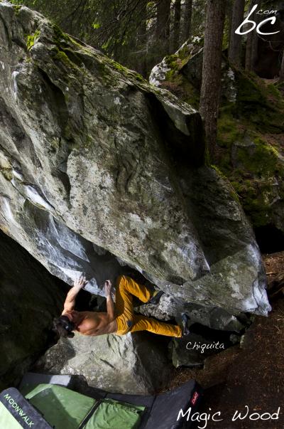 Mischa in "Chiquita"